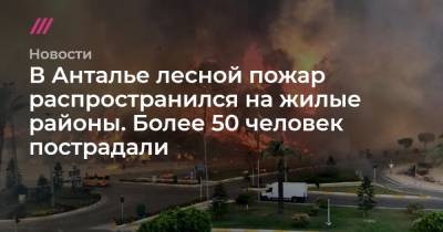 В Анталье лесной пожар распространился на жилые районы. Более 50 человек пострадали - tvrain.ru - Турция - Twitter