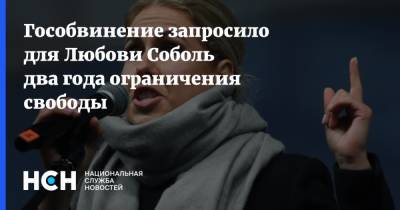 Гособвинение запросило для Любови Соболь два года ограничения свободы - nsn.fm - Россия