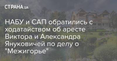 Виктор Янукович - Николай Азаров - Александр Янукович - НАБУ и САП обратились с ходатайством об аресте Виктора и Александра Януковичей по делу о "Межигорье" - strana.ua - Украина