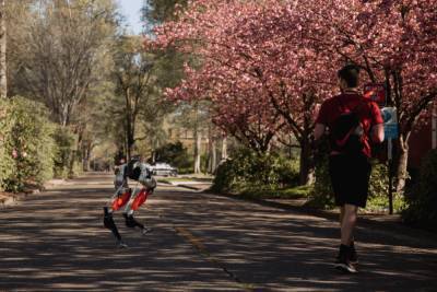 Двуногий робот Cassie преодолел пять километров на одном заряде — за 53 минуты - itc.ua - Украина - штат Орегон