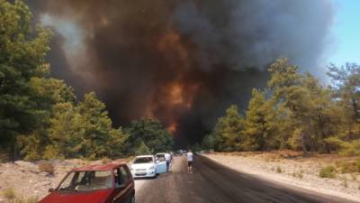 Более 50 жителей турецкой Анталии пострадали от масштабного лесного пожара - vchaspik.ua - Украина - Манавгат