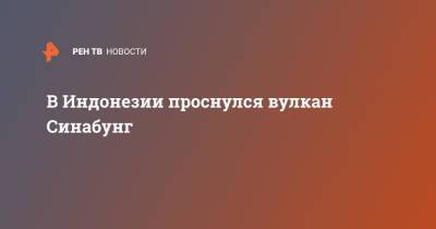 В Индонезии проснулся вулкан Синабунг - ren.tv - Индонезия
