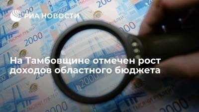 Александр Никитин - На Тамбовщине отмечен рост доходов областного бюджета - smartmoney.one - Россия - ЦФО - Тамбовская обл.
