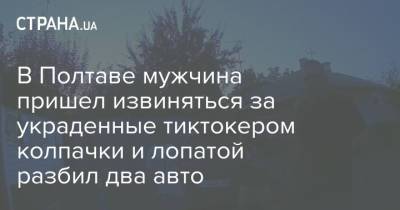 В Полтаве мужчина пришел извиняться за украденные тиктокером колпачки и лопатой разбил два авто - strana.ua - Украина - Полтава