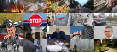 Важные новости 28 июля - stolicaonego.ru - Мурманская обл. - Архангельская обл. - республика Карелия