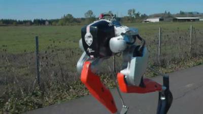 Двуногий робот Кэсси завершил забег на 5 км на одном заряде - piter.tv - США - штат Орегон