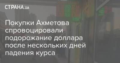 Ринат Ахметов - Покупки Ахметова спровоцировали подорожание доллара после нескольких дней падения курса - strana.ua - Украина