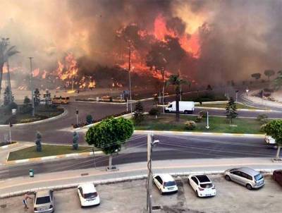 Более 50 пострадавших: Анталья охвачена лесными пожарами - tvc.ru - Turkey - провинция Анталья - Манавгат