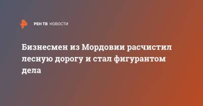 Бизнесмен из Мордовии расчистил лесную дорогу и стал фигурантом дела - ren.tv - республика Мордовия