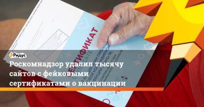 Екатерина Мизулина - Роскомнадзор удалил тысячу сайтов с фейковыми сертификатами о вакцинации - ridus.ru