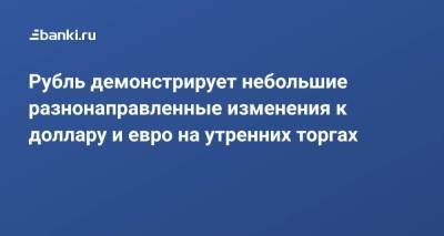 Рубль демонстрирует небольшие разнонаправленные изменения к доллару и евро на утренних торгах - smartmoney.one