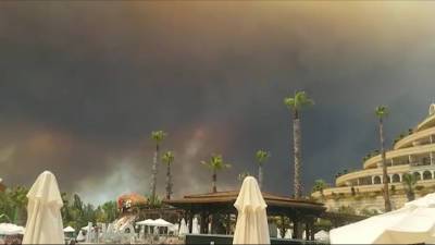 Лесной пожар в Анталье: Ростуризм рекомендовал отдыхающим не покидать отели - mir24.tv - Манавгат