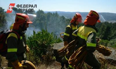 В Турции во время лесного пожара погиб человек - fedpress.ru - Турция - Анкара