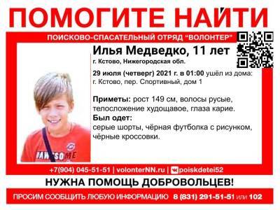 11-летний мальчик пропал в Кстове - vgoroden.ru