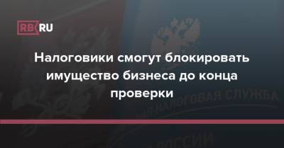 Налоговики смогут блокировать имущество бизнеса до конца проверки - rb.ru - Россия