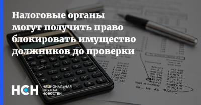 Налоговые органы могут получить право блокировать имущество должников до проверки - nsn.fm