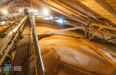 В ГПЗКУ выявили хищения зерна на 15 млн грн - agroportal.ua - Украина