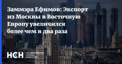 Владимир Ефимов - Заммэра Ефимов: Экспорт из Москвы в Восточную Европу увеличился более чем в два раза - nsn.fm - Москва - США