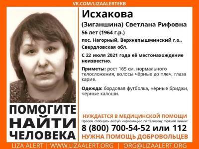Под Екатеринбургом седьмой день ищут пропавшую 56-летнюю женщину - znak.com - Екатеринбург