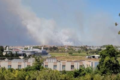 Один человек погиб при пожаре в Анталье - aif.ru - Turkey - провинция Анталья - Манавгат