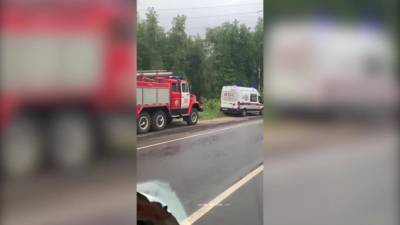 Три человека погибли в ДТП с возгоранием в Московской области - piter.tv - Москва - Россия - Московская обл.