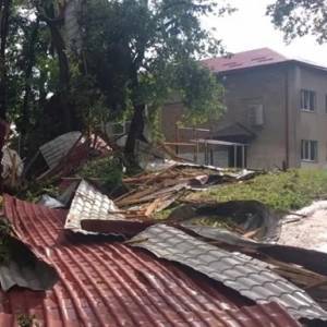 Во Львовской области ураган вырывал деревья с корнями. Видео - reporter-ua.com - Украина - Черновицкая обл. - Львовская обл. - Черновцы