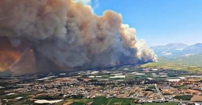 Крупный лесной пожар возник в турецкой Анталье: есть жертвы (ВИДЕО) - delo.ua - Украина - Турция - провинция Анталья - Манавгат