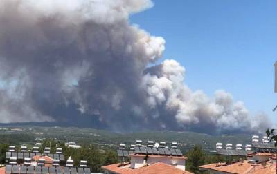 Лесные пожары в Турции: стало известно, есть ли среди пострадавших украинские туристы - novostiua.news - Украина - Турция - Манавгат