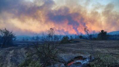Число погибших из-за лесного пожара в Турции возросло до трёх - russian.rt.com - Россия - Turkey - провинция Анталья - Манавгат