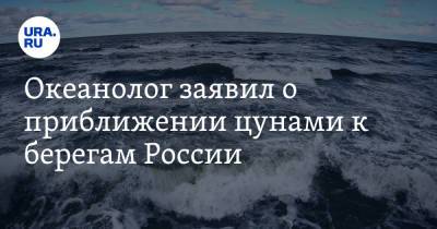 Владимир Андреев - Океанолог заявил о приближении цунами к берегам России - ura.news - Россия - Япония - шт.Аляска