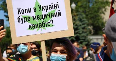 Зеленое разочарование. Почему легализация каннабиса не ведет к уменьшению черного рынка - focus.ua - Украина - Канада