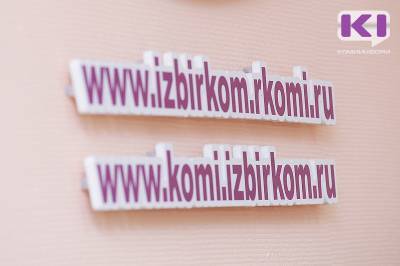 Андрей Никитин - Избирком Коми зарегистрировал еще четырех кандидатов на выборы депутатов Госдумы - komiinform.ru - Россия - респ. Коми