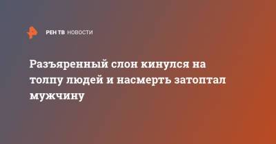Разъяренный слон кинулся на толпу людей и насмерть затоптал мужчину - ren.tv - Индия - India
