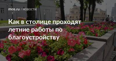 Петр Бирюков - Как в столице проходят летние работы по благоустройству - mos.ru - Москва - Благоустройство