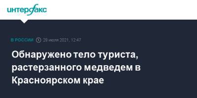 Обнаружено тело туриста, растерзанного медведем в Красноярском крае - interfax.ru - Москва - Красноярский край - респ. Хакасия