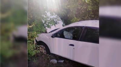 В ДТП с деревом в Воронеже пострадала 15-летняя девочка - vestivrn.ru - Воронеж