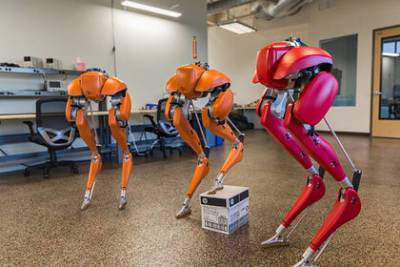 Двуногий робот-курьер пробежал пять километров - lenta.ru - США - штат Орегон