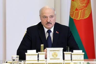 Александр Лукашенко - Лукашенко напомнил об отсутствии демократии и наличии президента - lenta.ru - Белоруссия