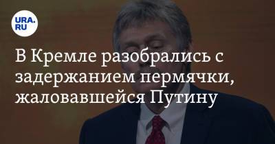 Владимир Путин - Дмитрий Песков - В Кремле разобрались с задержанием пермячки, жаловавшейся Путину - ura.news - Россия - Пермь