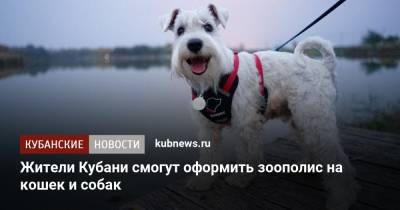 Жители Кубани смогут оформить зоополис на кошек и собак - kubnews.ru - Кубани