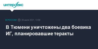 В Тюмени уничтожены два боевика ИГ, планировавшие теракты - interfax.ru - Москва - Россия - Тюмень - Тюменская обл.