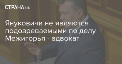 Виктор Янукович - Виталий Сердюк - Александр Янукович - Януковичи не являются подозреваемыми по делу Межигорья - адвокат - strana.ua - Украина - Киев