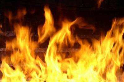 В результате лесного пожара в Анталье погибли три человека - aif.ru - Турция - провинция Анталья