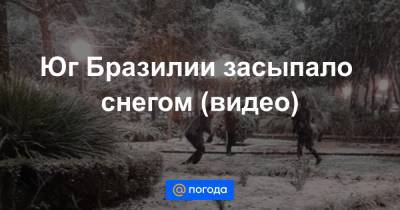 Екатерина Гура - Юг Бразилии засыпало снегом (видео) - news.mail.ru - Бразилия