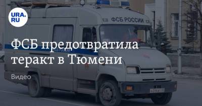 ФСБ предотвратила теракт в Тюмени. Видео - ura.news - Россия - Тюмень - Тюменская обл.