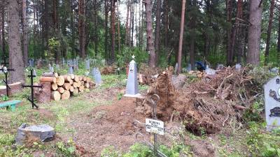 Жителей Сысольского района призвали на уборку кладбища и разрешили забрать спиленные деревья для растопки бань - komiinform.ru - район Сысольский