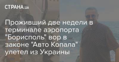 Проживший две недели в терминале аэропорта "Борисполь" вор в законе "Авто Копала" улетел из Украины - strana.ua - Россия - Украина - Киев - Грузия - Турция