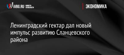 Александр Дрозденко - Ленинградский гектар дал новый импульс развитию Сланцевского района - ivbg.ru - Украина - Ленинградская обл. - Бокситогорск