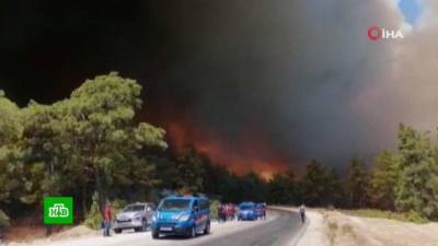 В турецком Мармарисе началась эвакуация отелей из-за лесных пожаров (видео) - lenta.ua - Россия - США - Украина - Турция - Манавгат