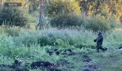 В ходе перестрелки около Тюмени были убиты двое мужчин пытавшихся совершить теракт - nashgorod.ru - Тюмень - Таджикистан